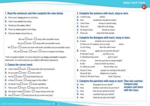 grammar worksheet many much more